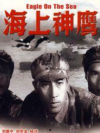 海上神鹰,翱翔于碧波万顷的传奇航迹