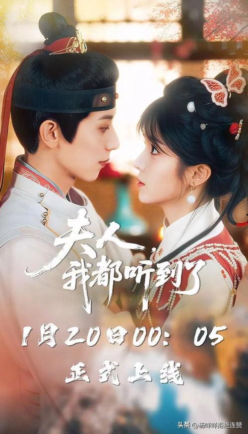 绑定系统后我金榜题名,绑定系统后的神奇之旅