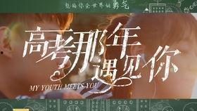 高考那年遇见你