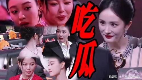 娱乐圈在线吃瓜