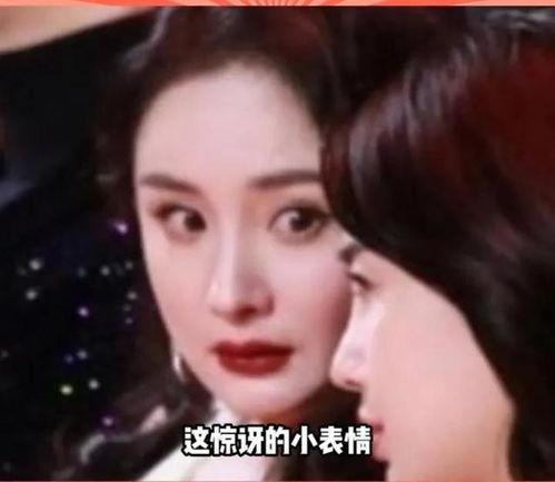 娱乐圈的瓜吃不过来